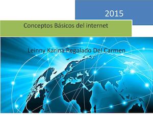 Concepto basicos de la internet