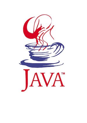 Lenguaje Java