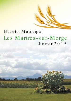 Bulletin Municipal 2015