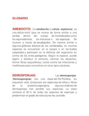 Glosario Mapa Invertebrados T