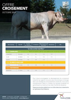 Index Allaitant - Croisement - Génoé - Oct 2015
