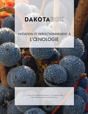 DAKOTABOX - INITIATION ET PERFECTIONNEMENT A L'OENOLOGIE V12