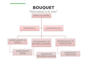 Organigrama