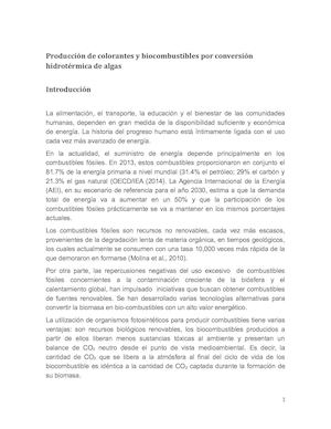 Producción De Colorantes Y Biocombustibles Guanajuato