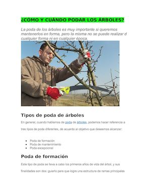 Cómo Y Cuándo Podar Los ÁRboles