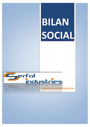Bilan Social Serfal Pdf
