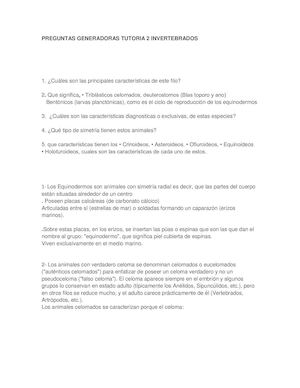Preguntas+generadoras+tutoria+2+invertebrados