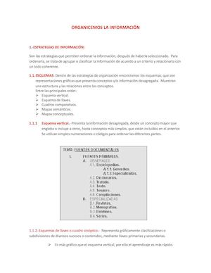 como organizar informacion