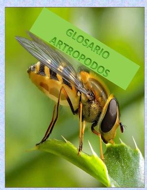 Glosario Artropodos