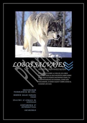 Libro Virtual (Osorio Carlos)