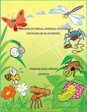 Glosario 5 Artropodos