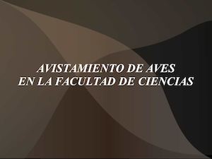Avistamiento