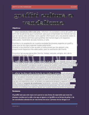 graffiti cultura o vandalismo