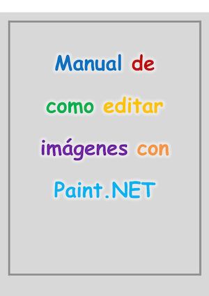 Manual Paint Net Ejes