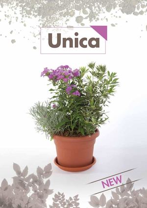 Leaflet UNICA