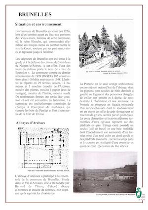 Synthèse de Brunelles