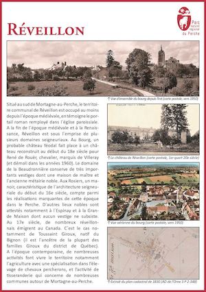 Synthèse  Reveillon