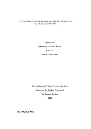 Ensayo Contaminacion Ambiental Luis Andres Rivera