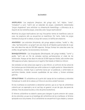 Glosario Tutoria 5 Artropodos