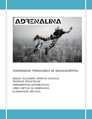 Libro Virtual Azpeitia Miguel