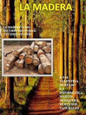 LA MADERA