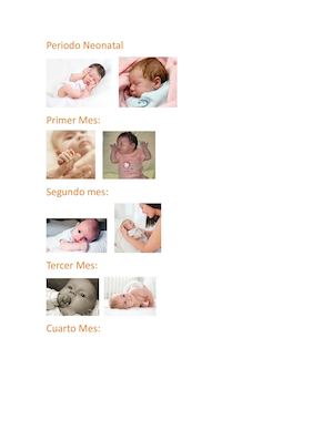 Periodo Neonatal