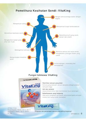 Vitaking Functions In Diagram (Malay)