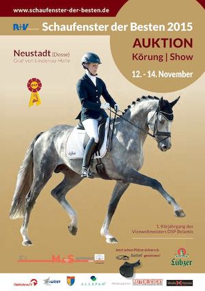 Schaufenster Der Besten 2015 Neustadt (Dosse)