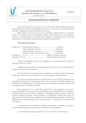 286073621 Criterios Calificacion Quimica Pau
