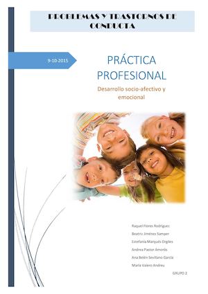 Desarrollo Socio Afectivo Y Emocional