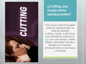 Revista De Cutting
