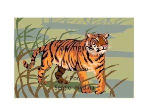El Libro De Los Tigres