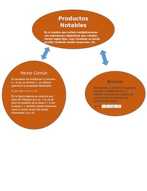 Mapa Comseptual Sobre Los Productos Notables- Notables