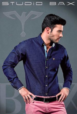 Catalogo Studio Bax Online