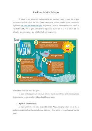 Las Fases Del Ciclo Del Agua