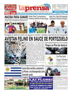 Edición Impresa Nº 211