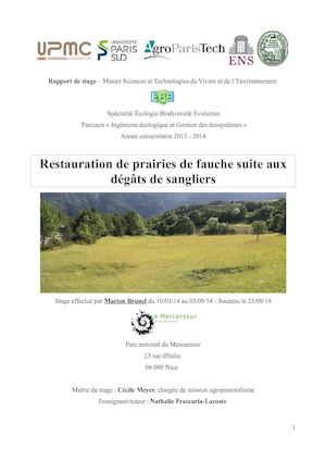 Restauration écologique Des Prairies De Fauche Scientifique Marion Brunel