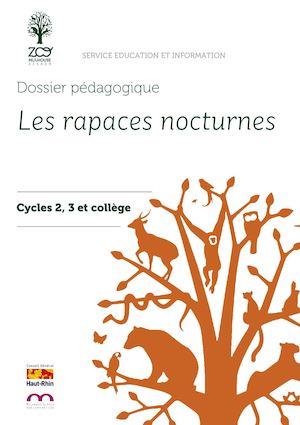 Les Rapaces Nocturnes (cycles 2-3-4)