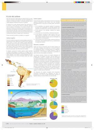 Ciclos Del Carbon - maria jose