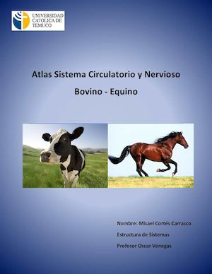 Atlas Sistema Circulatorio y Nervioso Medicina Veterinaria UCT