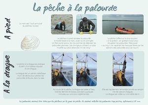 Plaquette Peche Palourde Finale