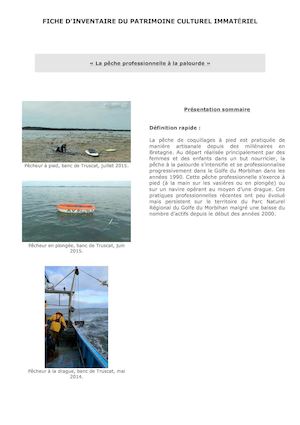 Fiche D'inventaire Pêche Professionnelle À La Palourde Allegee