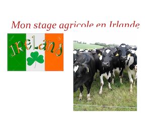 Mon stage en Irlande!