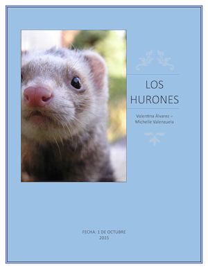 revista - los hurones