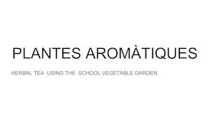 Plantes Aromàtiques
