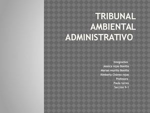 Tribunal Ambiental Administrativo Jeisca Mariam Y Kimbrely