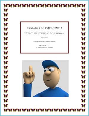 Brigadas De Emergencia