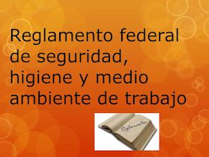 Reglamento Federal De Seguridad, Higiene Y Medio
