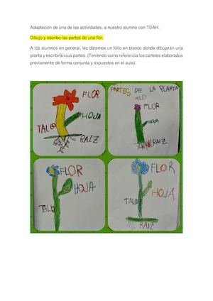 Adaptación de una  actividad.