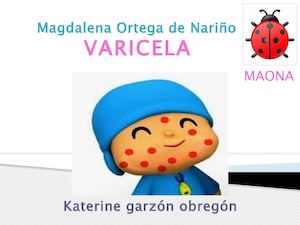 portafolio Varicela